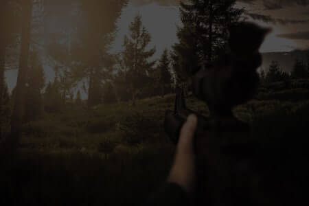 FPS mode OFF